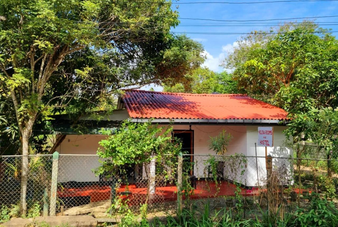 Helena Hostel Dikwella Εξωτερικό φωτογραφία